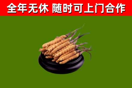 凤岗镇烟酒回收冬虫夏草.jpg